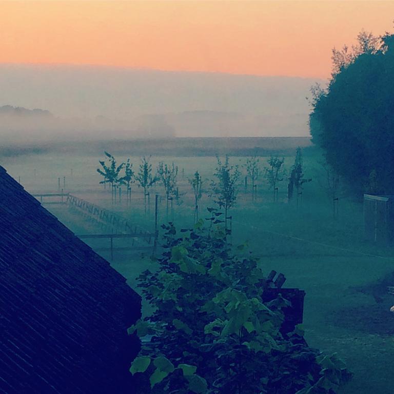 Bed&Breakfast Karakter Den Dungen Exteriör bild